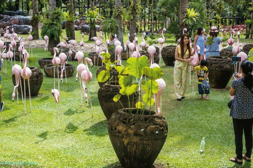 Nong Nooch Tropical Park u Pataji je glavna atrakcija