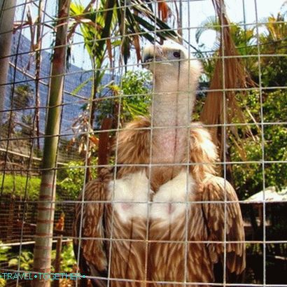 Zoološki vrt Phuket