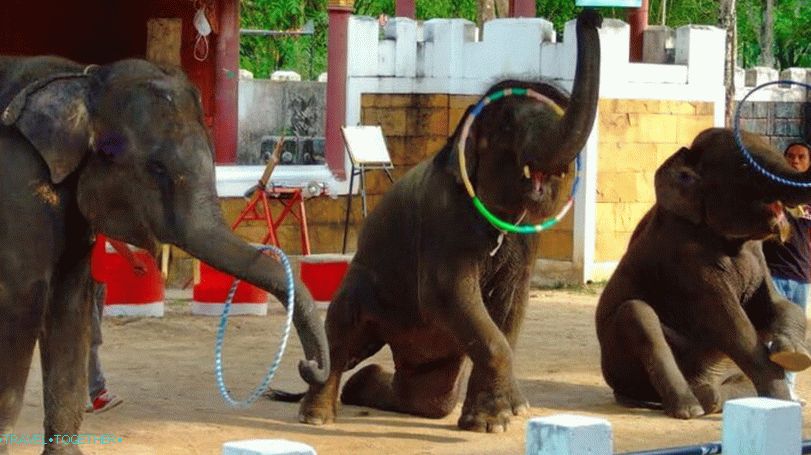 Zoološki vrt Phuket