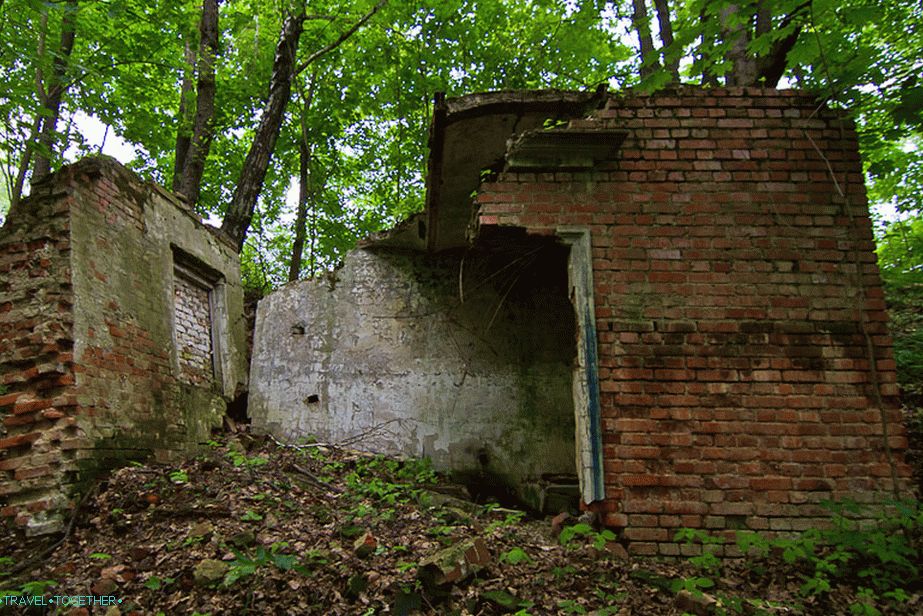 Nerazumljive moderne ruševine u šumi