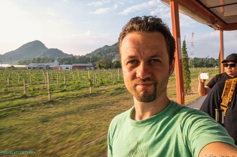 Vinograd Srebrnog jezera u Pataji - dobra šetnja i vino
