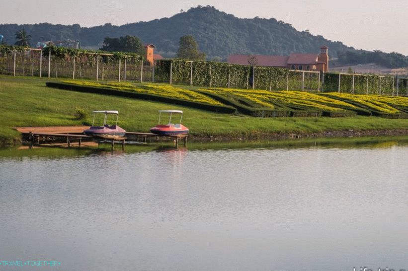 Vinograd Srebrnog jezera u Pataji - dobra šetnja i vino