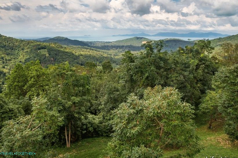Pogled na područje Maenama sa vidikovca