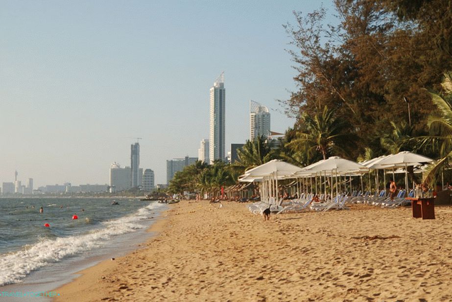 Beach Center