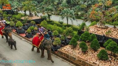 Khao Kheo Zoo in Pattaya