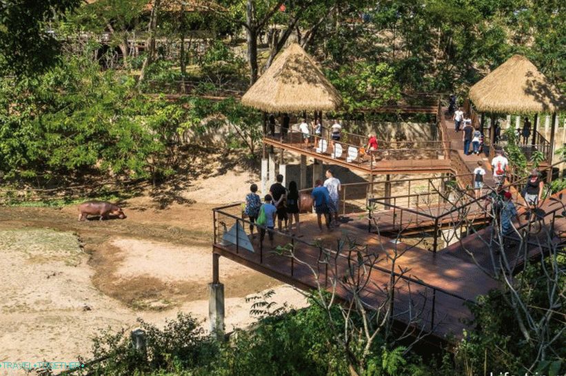 Zoološki vrt Khao Kheo u Pataji - najbolji u Tajlandu