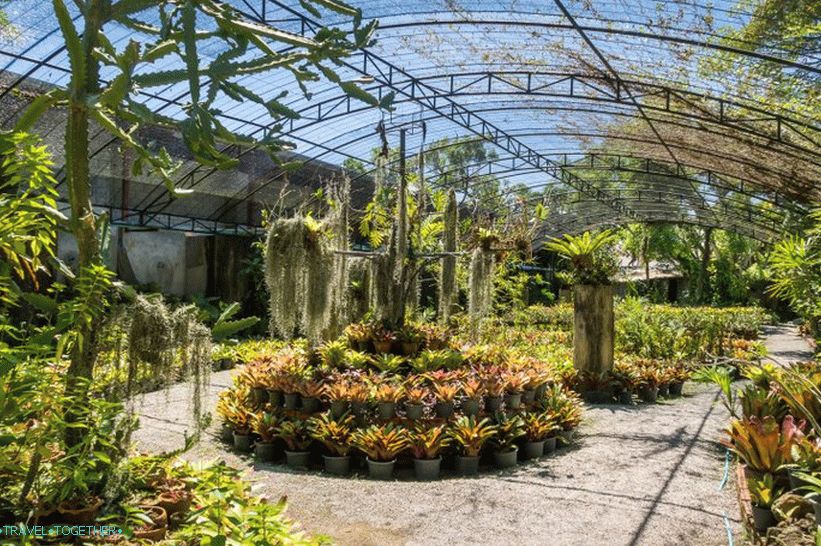 Zoološki vrt Phuket - moj pregled, cijene, fotografije i raspored emisije
